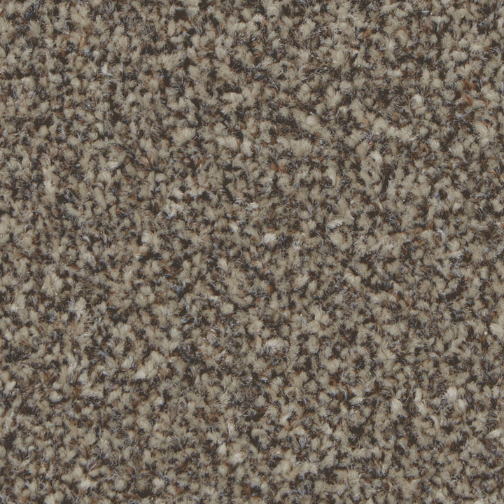 Kingston Elite Molasses Carpet