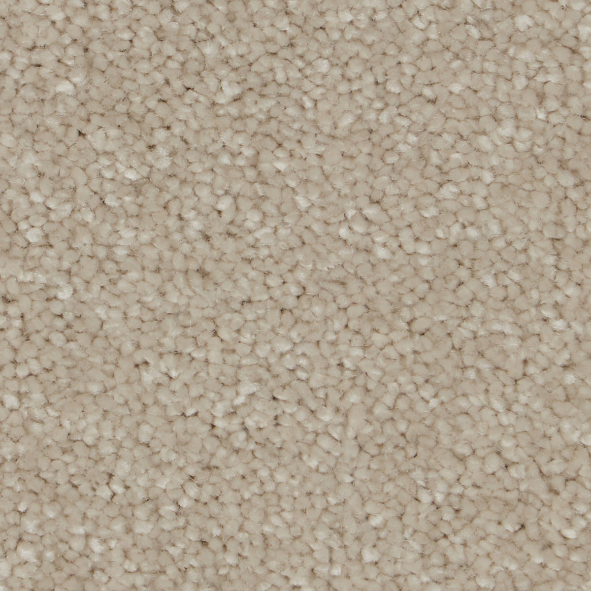 Sensation Ultimate Ventura Opal Carpet