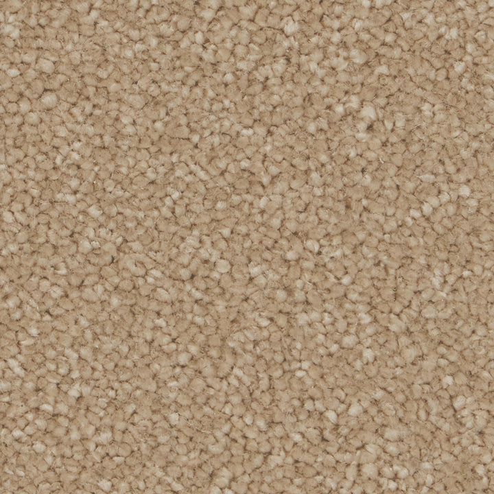 Sensation Ultimate Gazelle Carpet