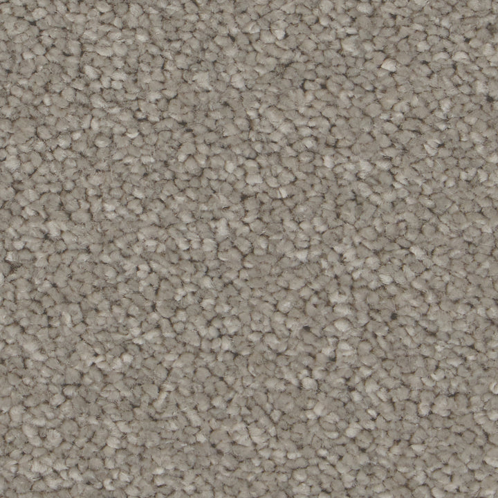 Sensation Ultimate Greystone Carpet