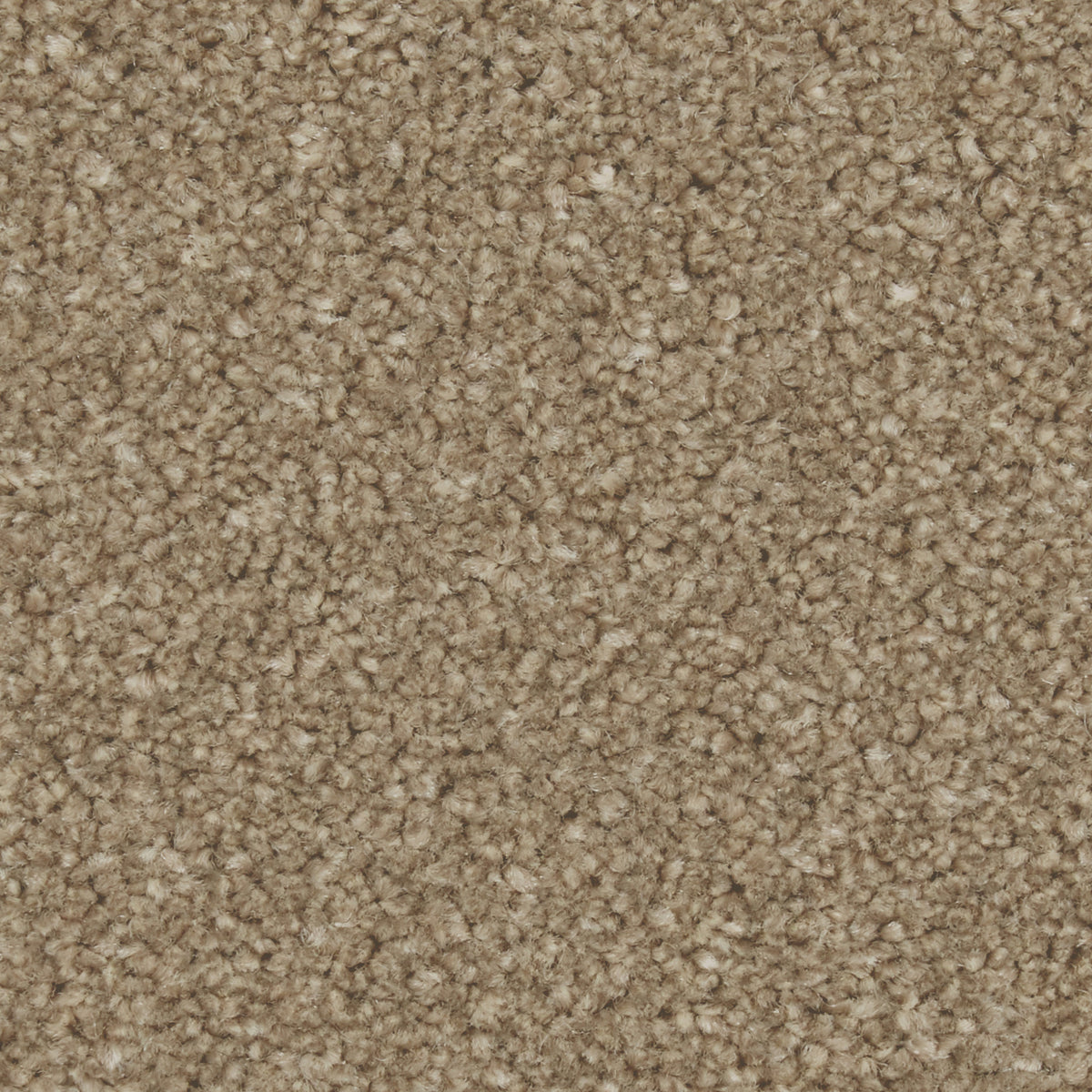 Zenith Dark Taupe Carpet