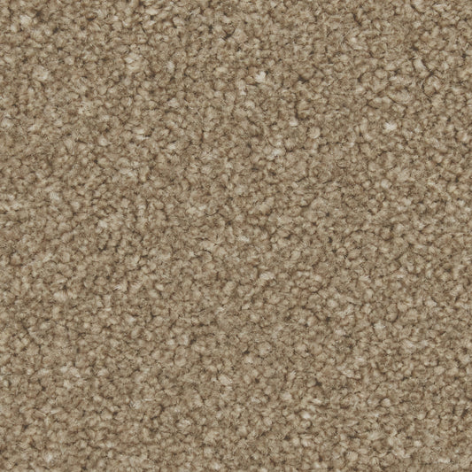 Zenith Dark Taupe Carpet