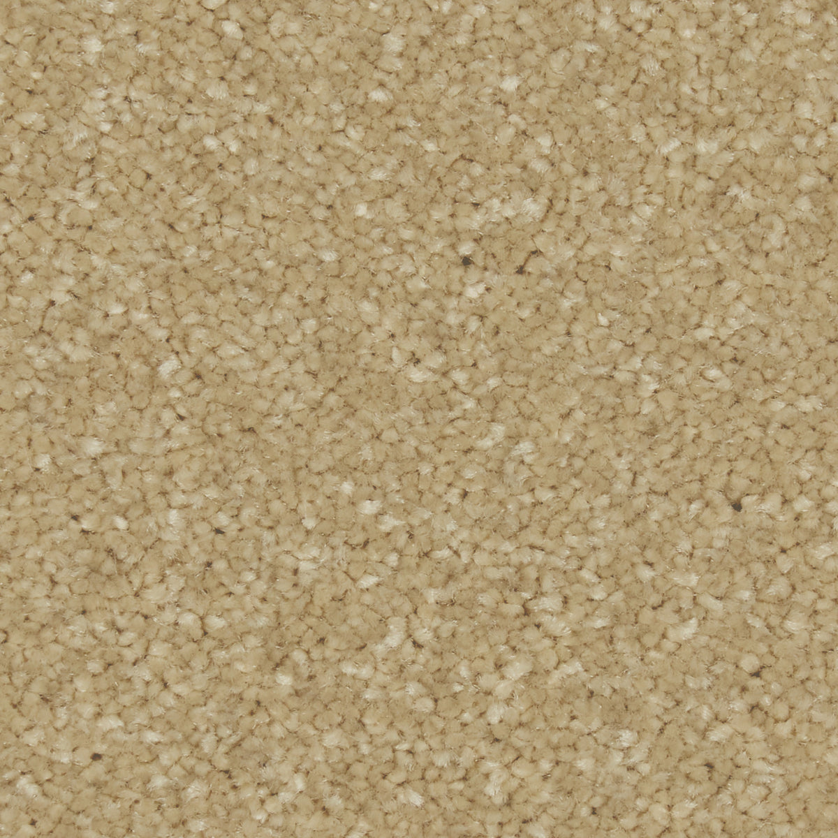 Zenith Sandy Bay Carpet