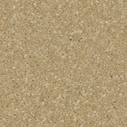 Zenith Sandy Bay Carpet