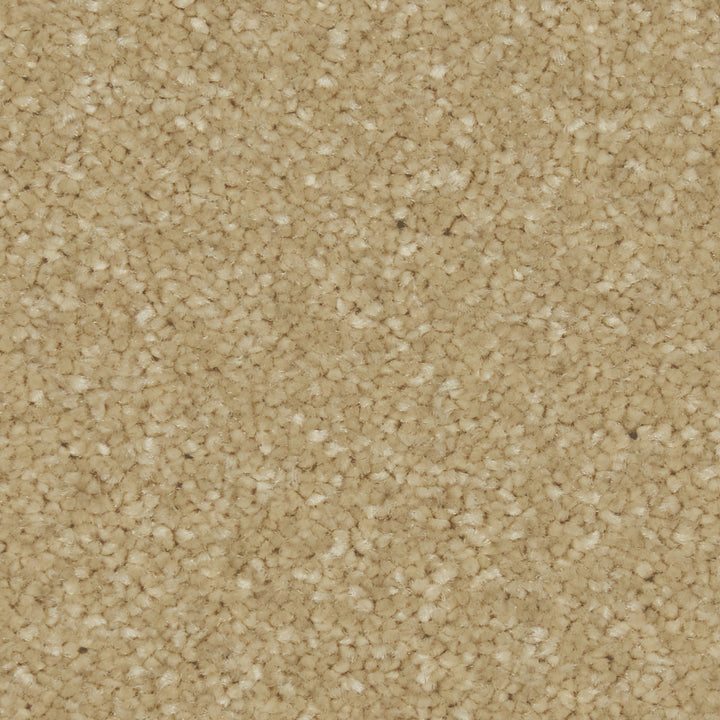 Zenith Sandy Bay Carpet