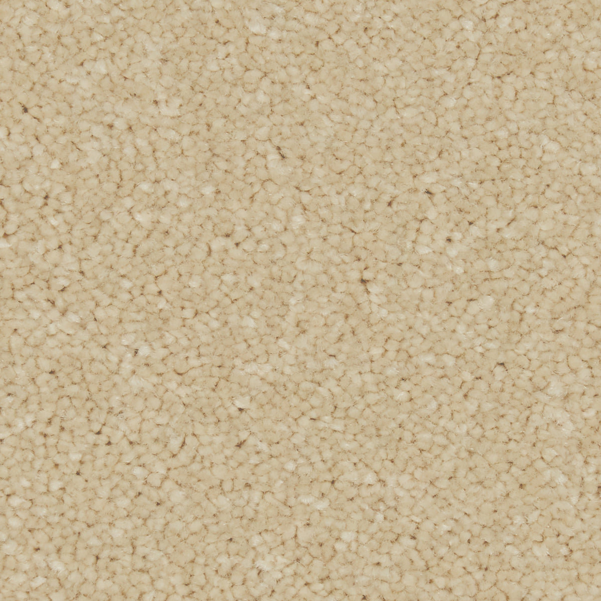 Zenith Palomino Gold Carpet