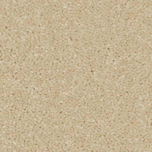 Zenith Palomino Gold Carpet