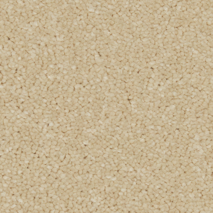 Zenith Palomino Gold Carpet
