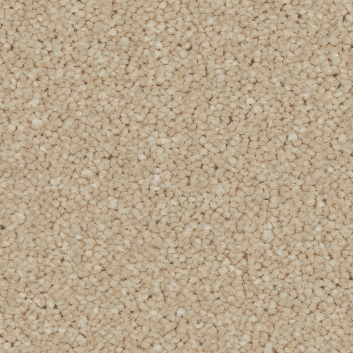 Zenith Highcliffe Carpet