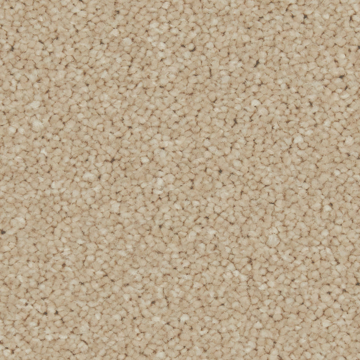 Zenith Highcliffe Carpet