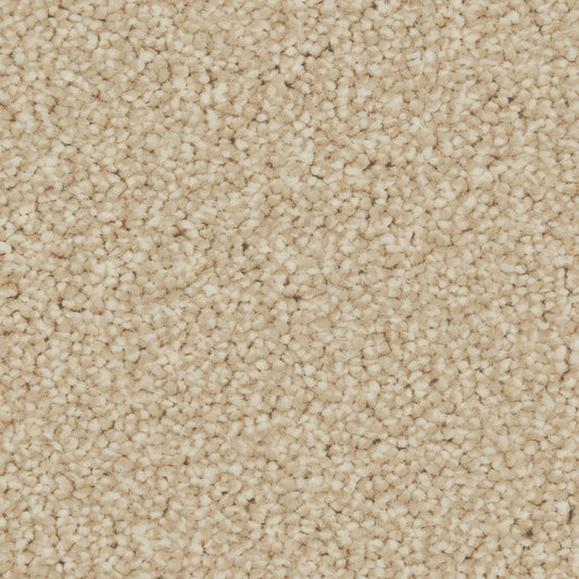 Zenith Lakeside Carpet