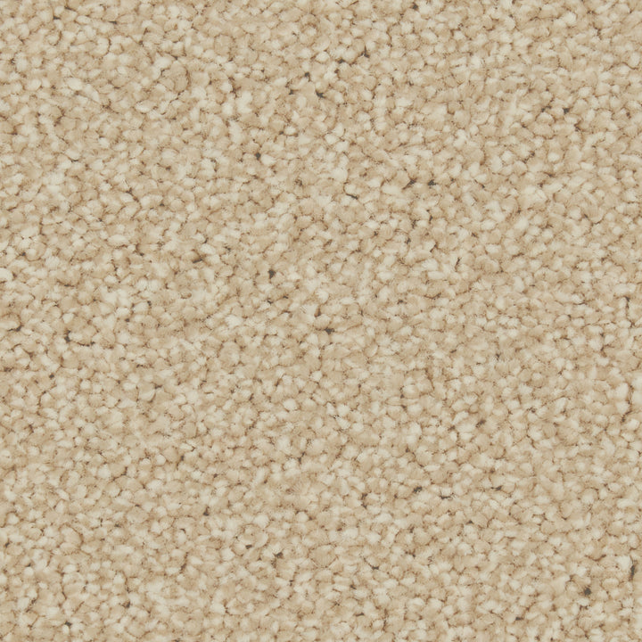 Zenith Lakeside Carpet