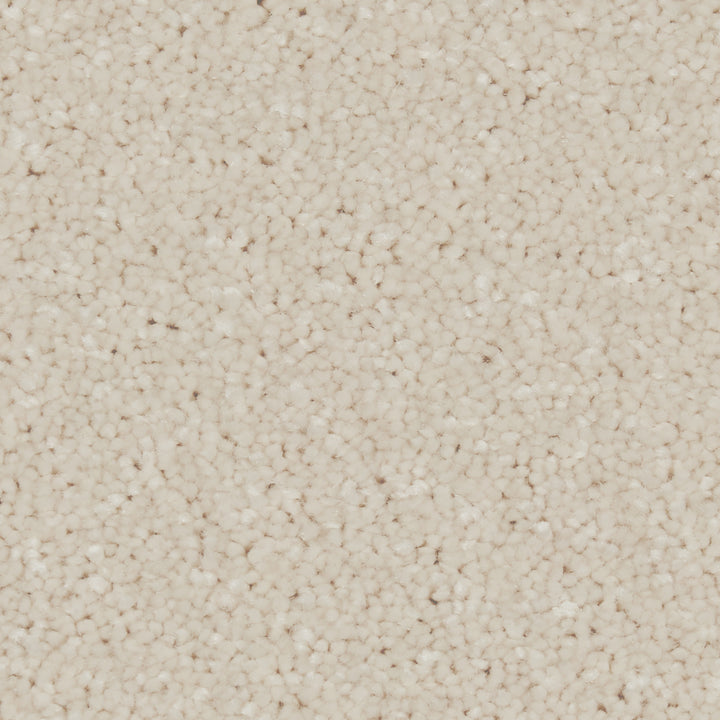 Zenith Chalk White Carpet