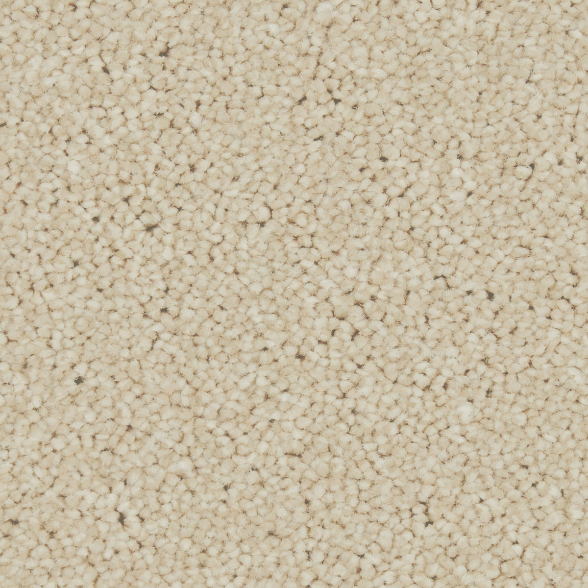 Zenith Caribou Carpet