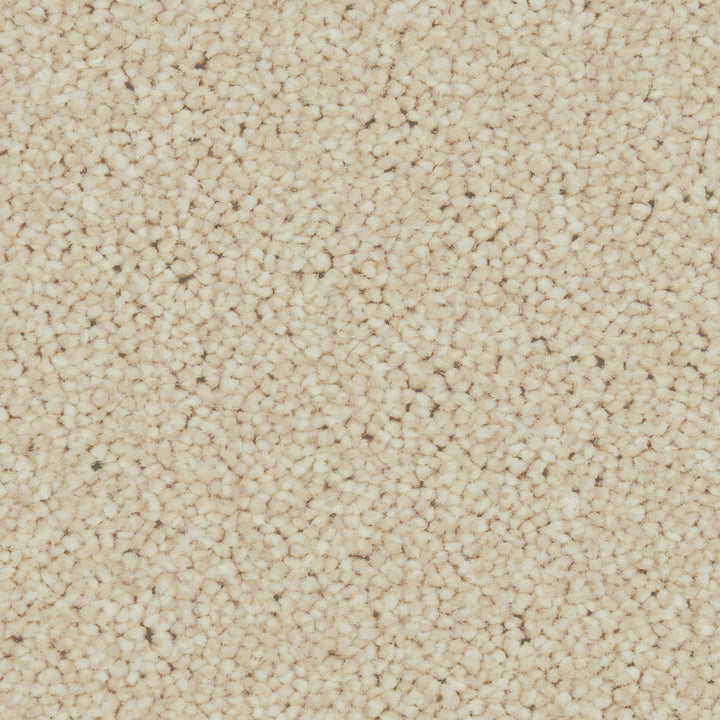 Zenith Caribou Carpet