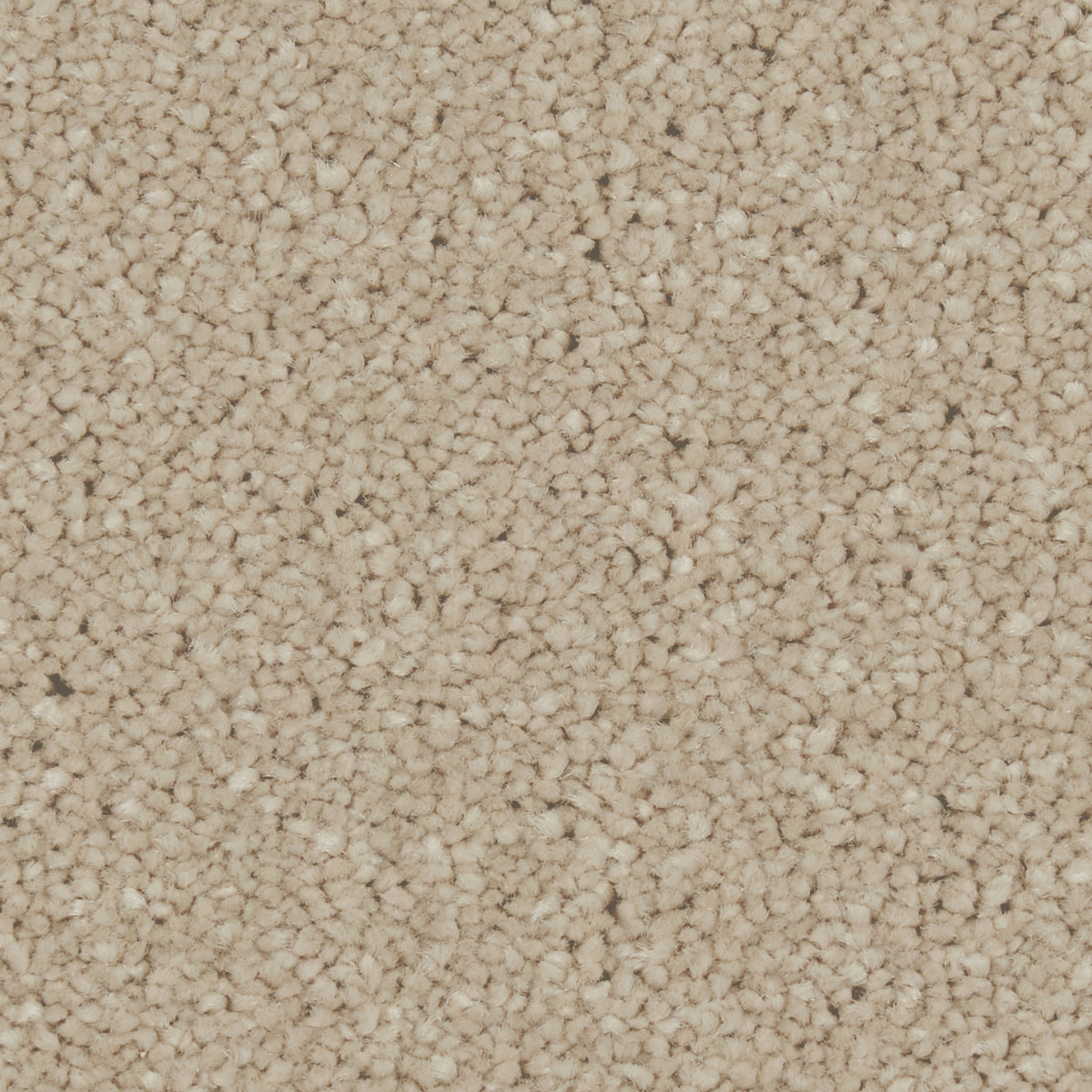 Zenith Yorkstone Carpet