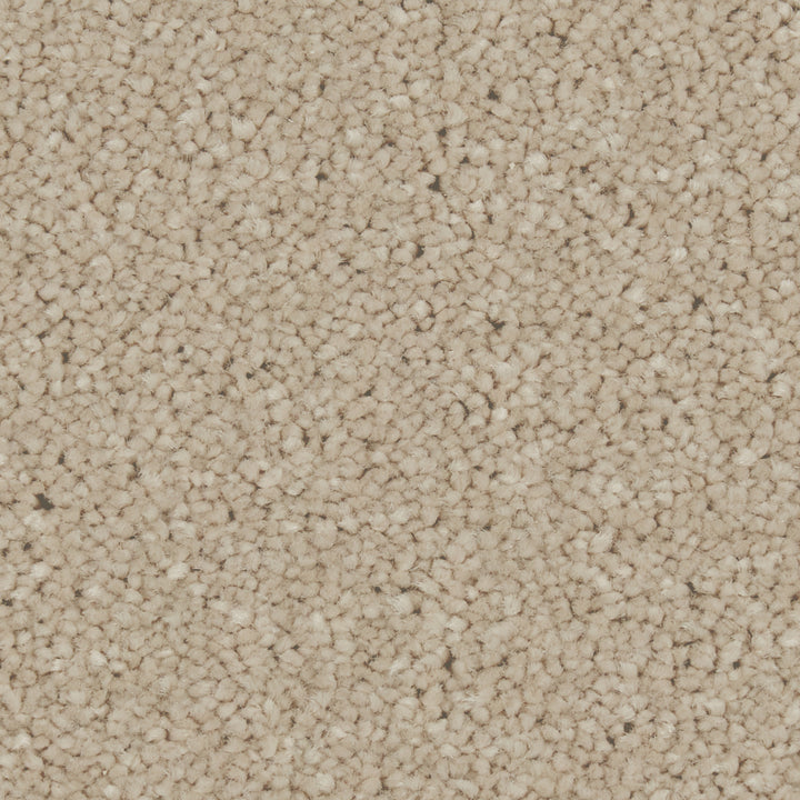 Zenith Yorkstone Carpet