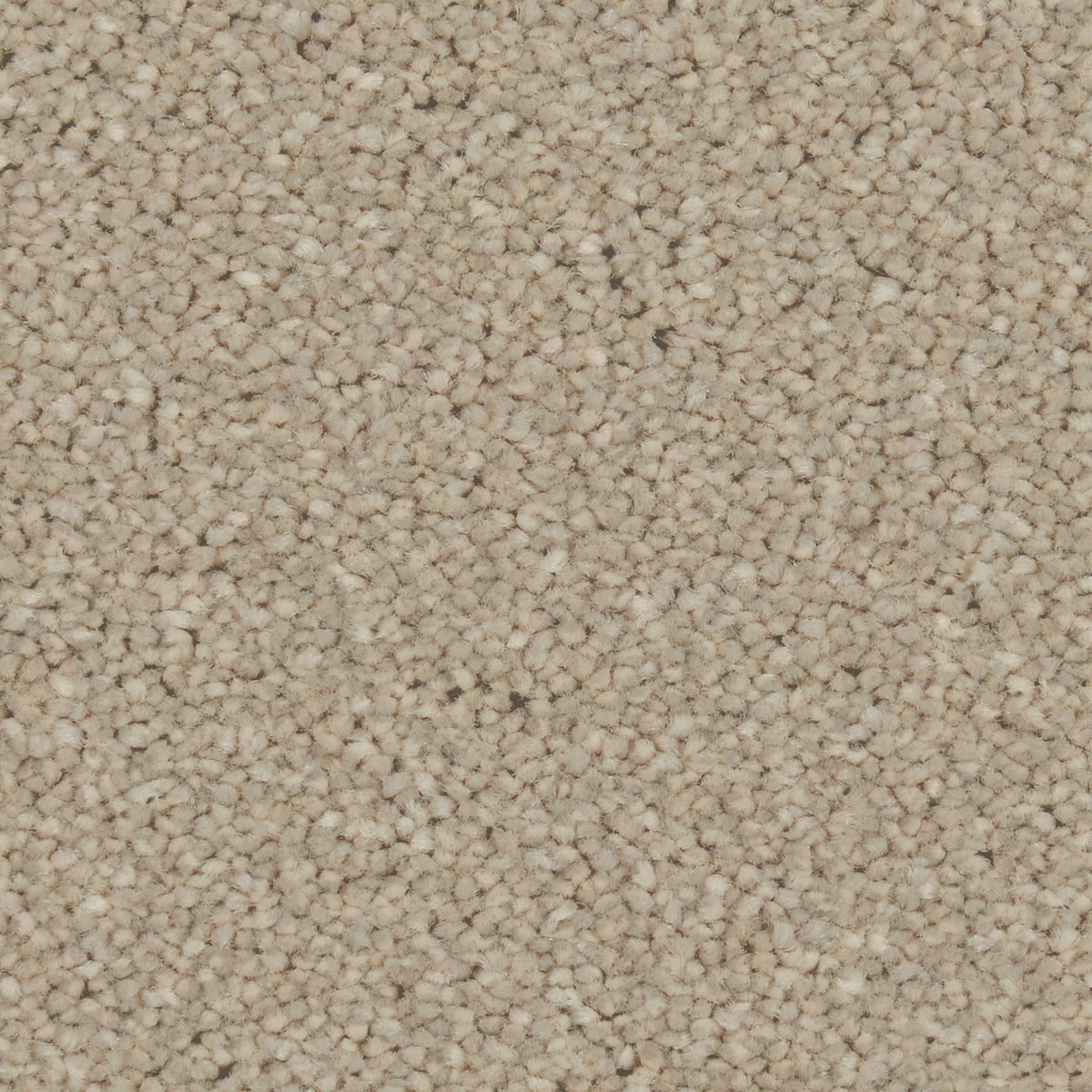 Zenith Dove Feather Carpet