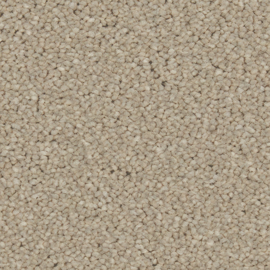 Zenith Dove Feather Carpet