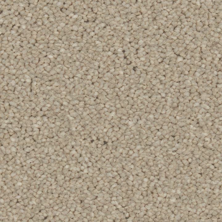 Zenith Dove Feather Carpet