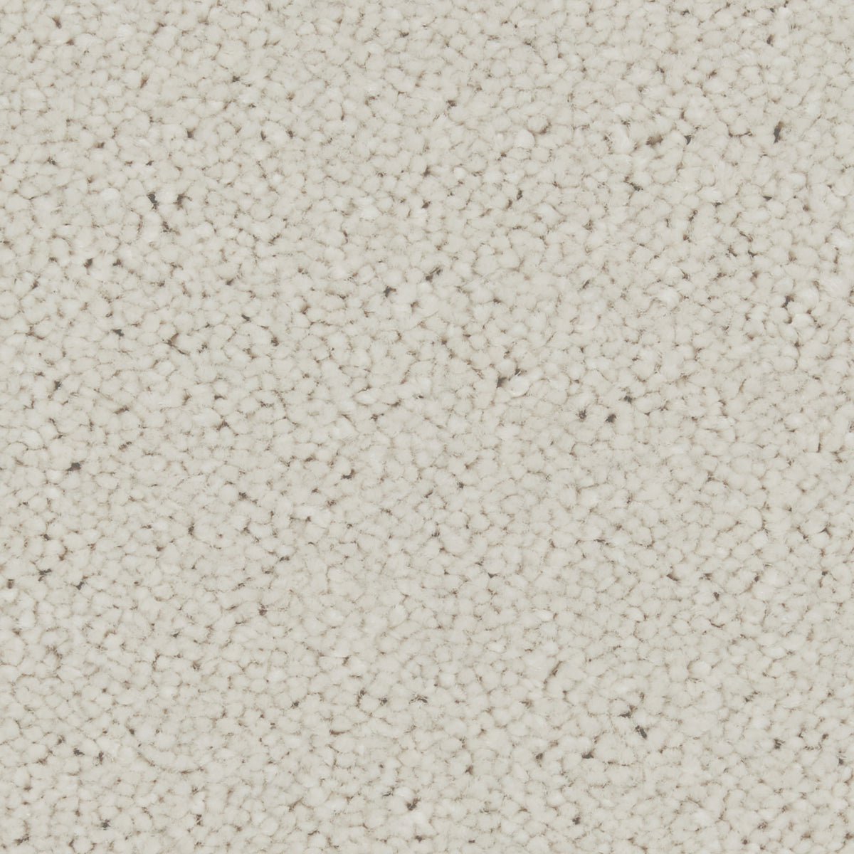 Zenith Pendant Carpet