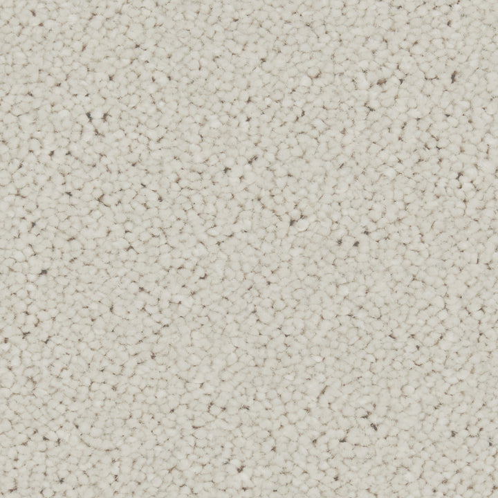Zenith Pendant Carpet