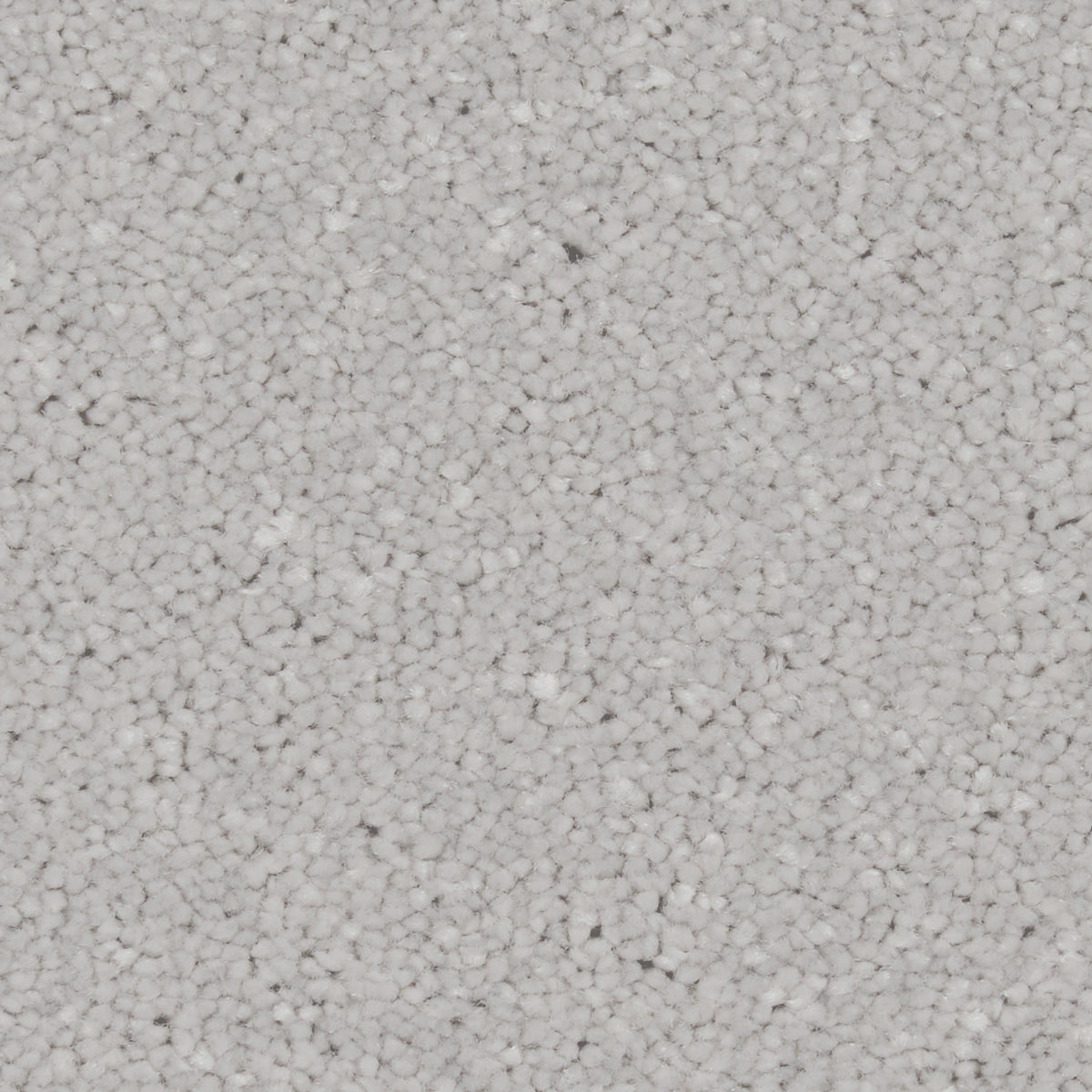 Zenith Royal Silver Carpet