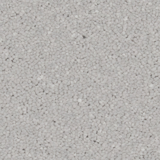 Zenith Royal Silver Carpet