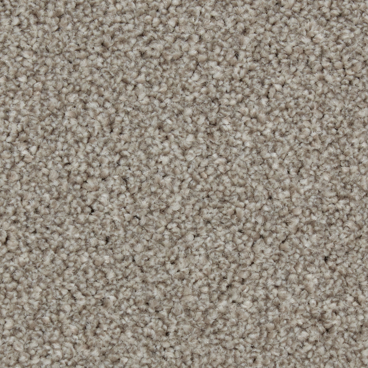 Zenith Harbour Grey Carpet