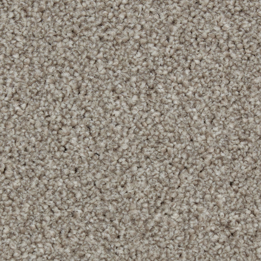 Zenith Harbour Grey Carpet