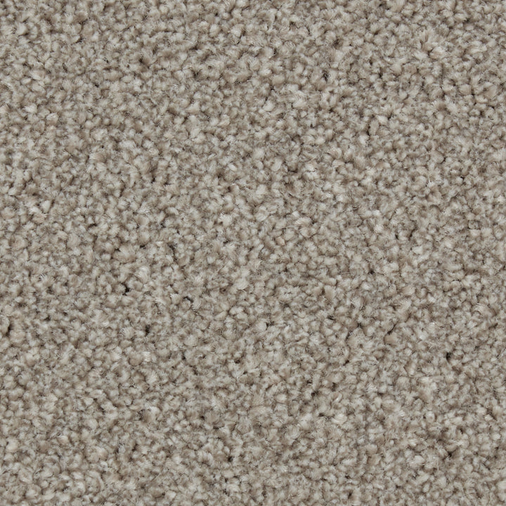 Zenith Harbour Grey Carpet