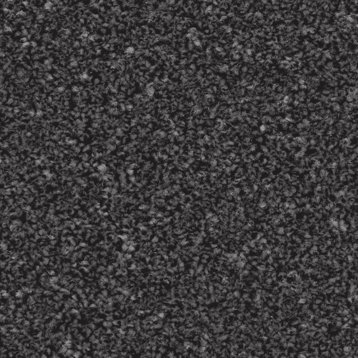 Zenith Anthracite Carpet