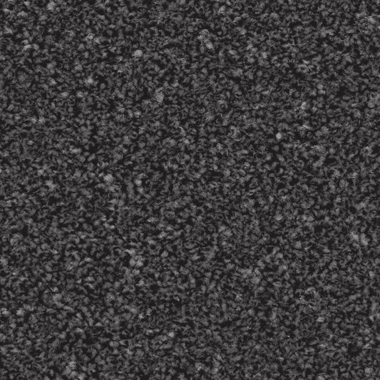 Zenith Anthracite Carpet