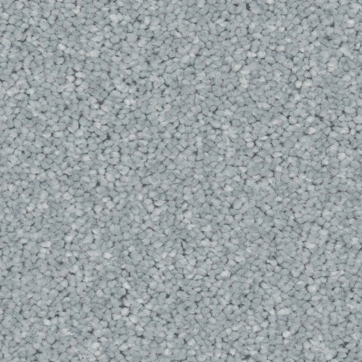 Zenith Zephyr Carpet