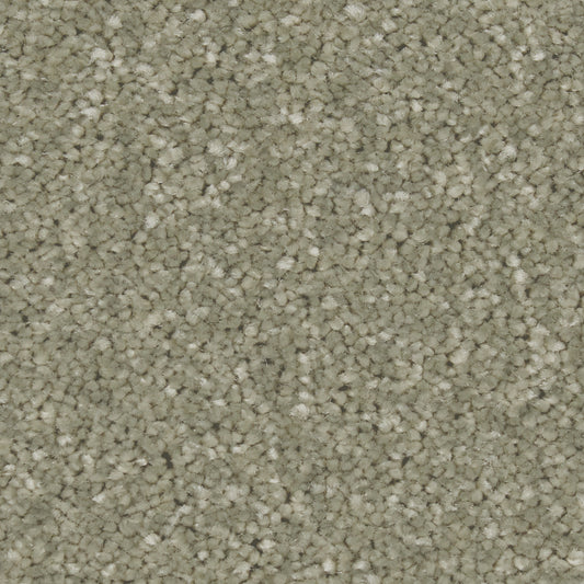 Zenith Tuscan Olive Carpet
