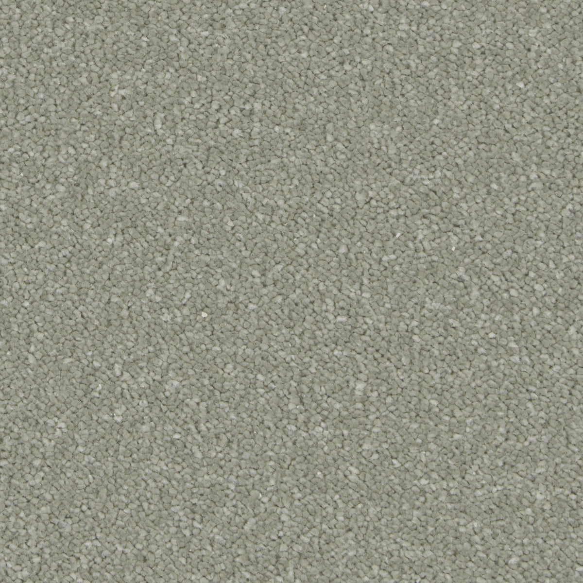 Silken Serenity Moss Carpet