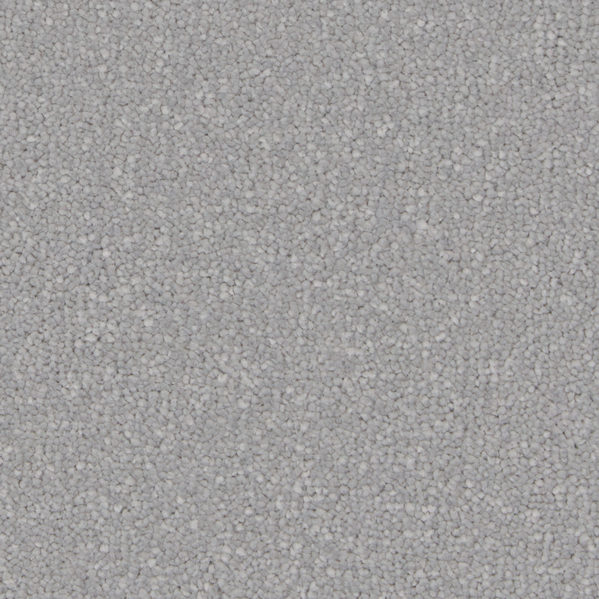 Silken Serenity Alpina Carpet