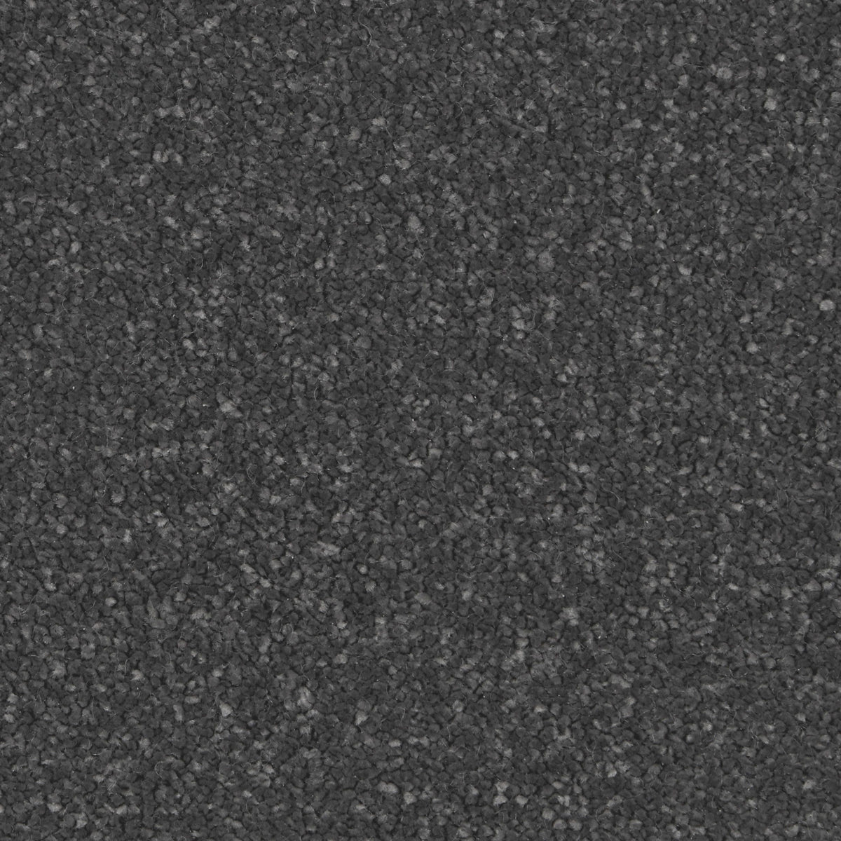 Silken Serenity Tempest Carpet
