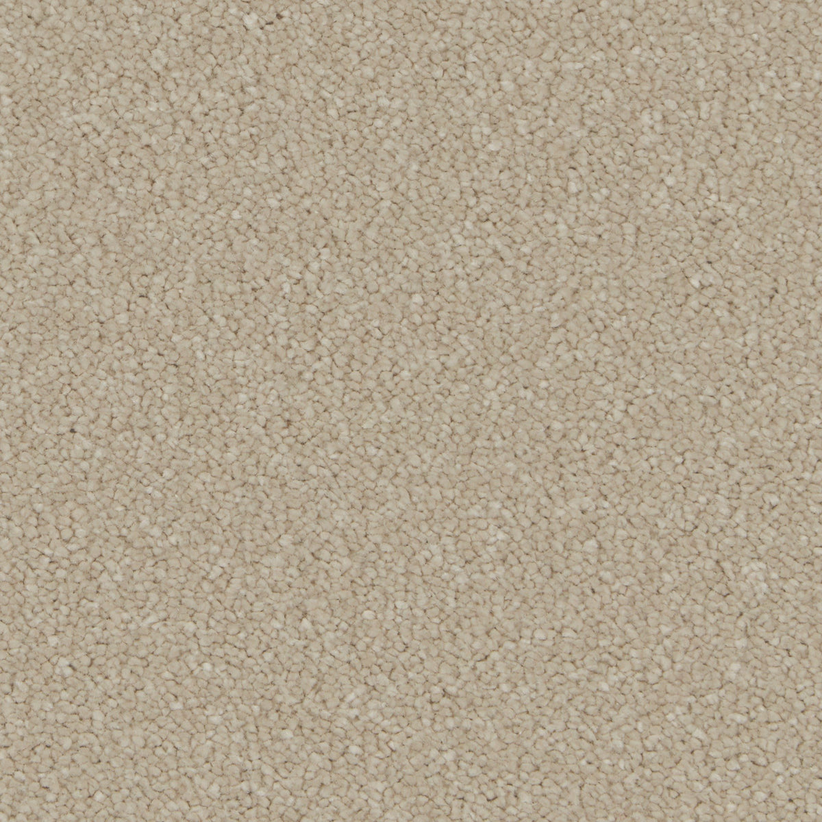 Silken Serenity Stucco Carpet