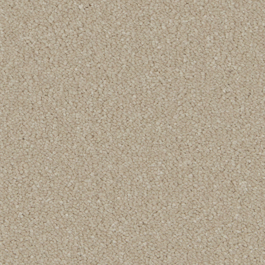 Silken Serenity Stucco Carpet
