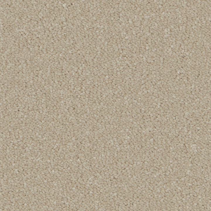 Silken Serenity Stucco Carpet
