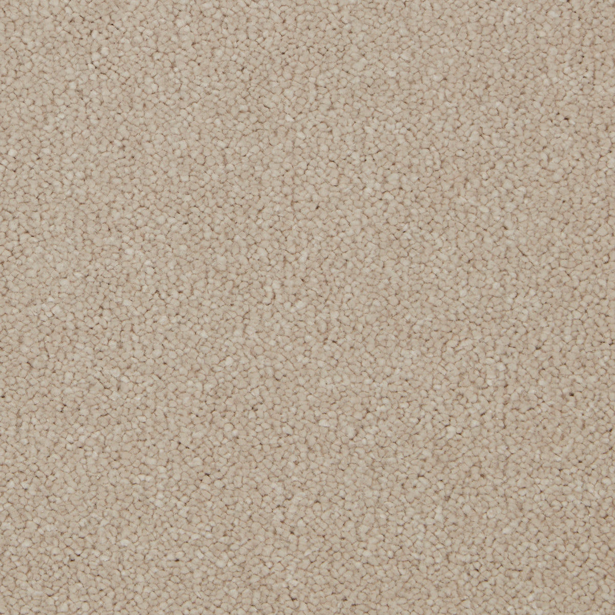Silken Serenity Blyth Barley Carpet