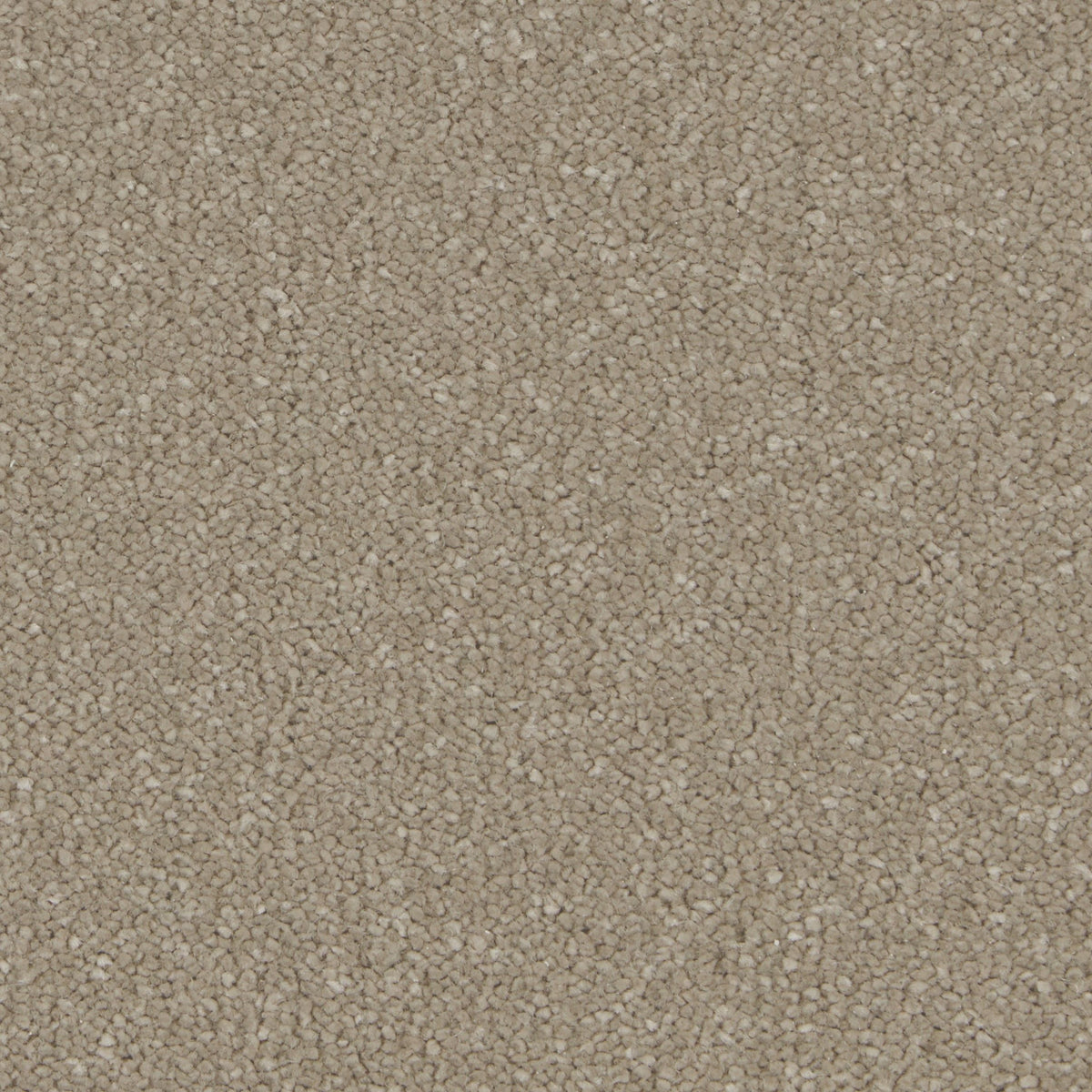 Silken Serenity Nocciola Carpet