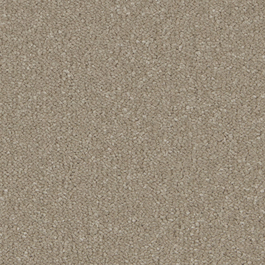 Silken Serenity Nocciola Carpet