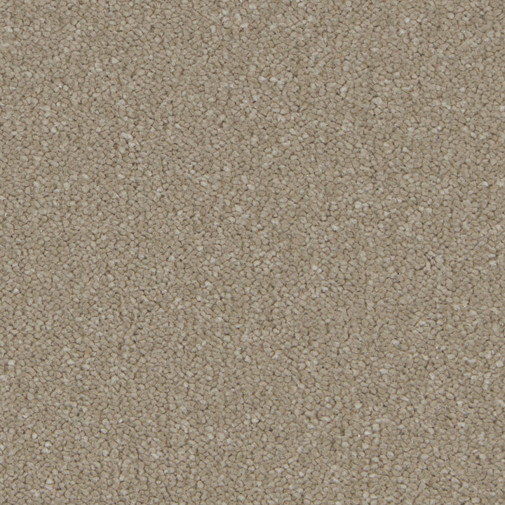 Silken Serenity Nocciola Carpet