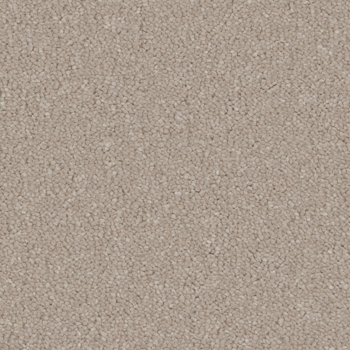 Silken Serenity Taffetta Carpet