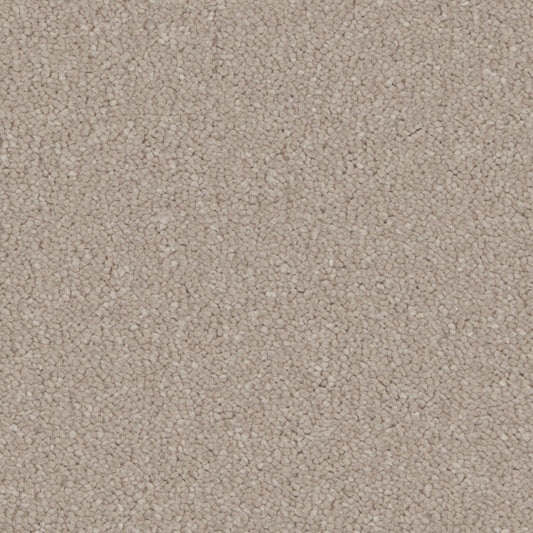 Silken Serenity Taffetta Carpet