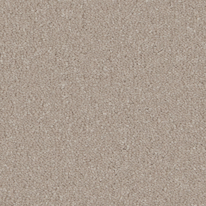 Silken Serenity Taffetta Carpet