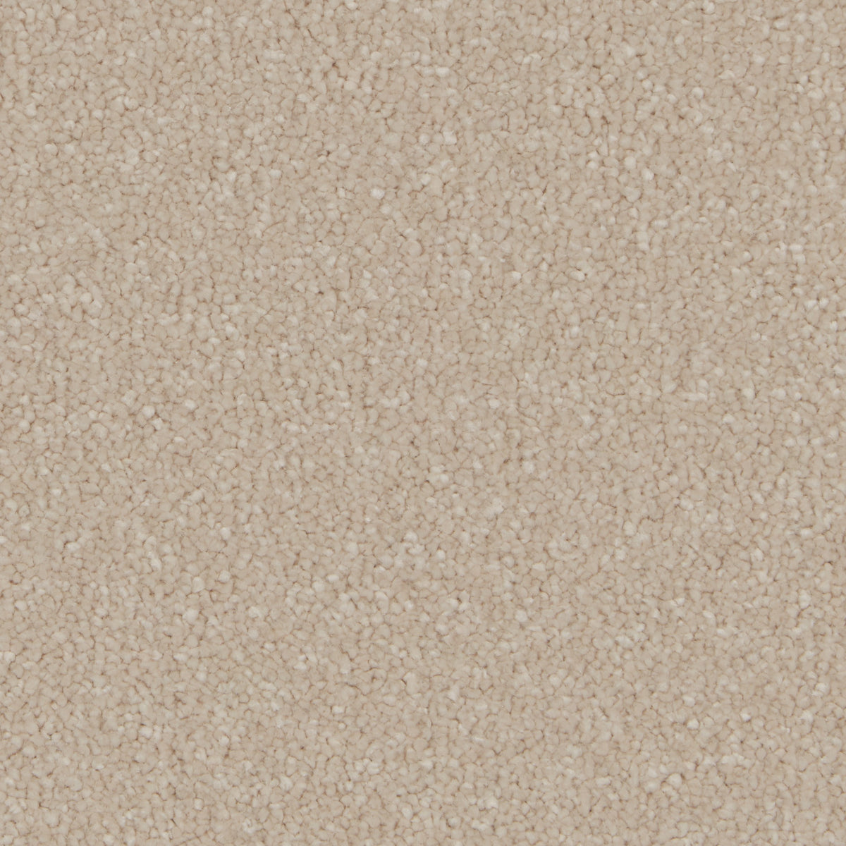 Silken Serenity Antique White Carpet