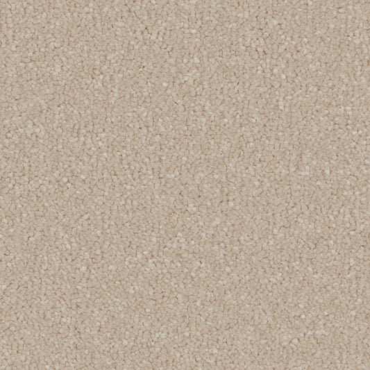 Silken Serenity Antique White Carpet